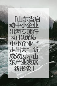 山东省启动中小企业出海专项行动 以优质中小企业“走出去”新成效展示山东产业发展新形象