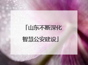 山东不断深化智慧公安建设