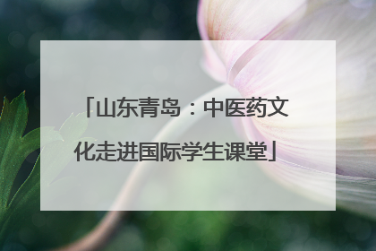 山东青岛：中医药文化走进国际学生课堂