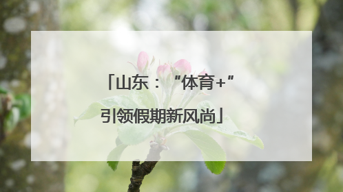山东：“体育+”引领假期新风尚