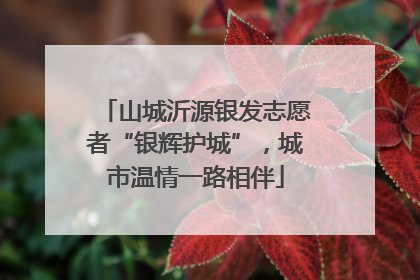 山城沂源银发志愿者“银辉护城”，城市温情一路相伴