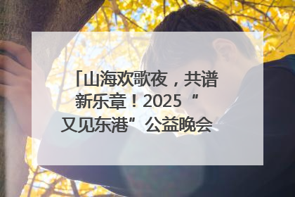 山海欢歌夜，共谱新乐章！2025“又见东港”公益晚会奏响文旅强音