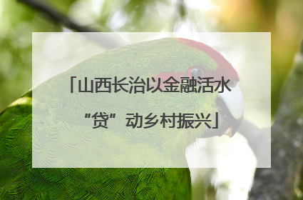 山西长治以金融活水“贷”动乡村振兴