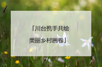 川台携手共绘美丽乡村画卷
