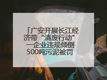 广安开展长江经济带“清废行动” 一企业违规倾倒500吨污泥被罚8万元