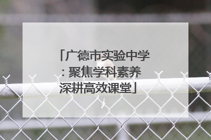 广德市实验中学：聚焦学科素养 深耕高效课堂