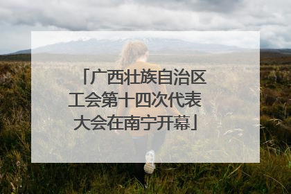 广西壮族自治区工会第十四次代表大会在南宁开幕