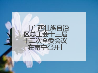 广西壮族自治区总工会十三届十二次全委会议在南宁召开
