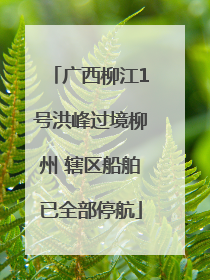 广西柳江1号洪峰过境柳州 辖区船舶已全部停航