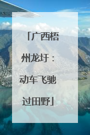 广西梧州龙圩：动车飞驰过田野