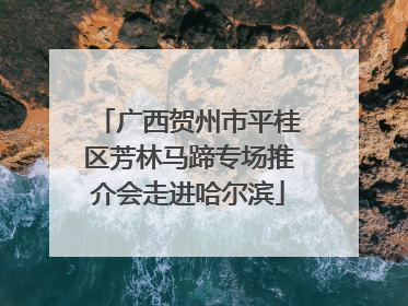 广西贺州市平桂区芳林马蹄专场推介会走进哈尔滨