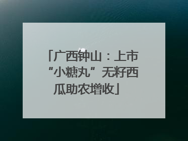 广西钟山：上市“小糖丸”无籽西瓜助农增收