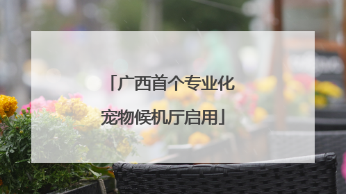 广西首个专业化宠物候机厅启用