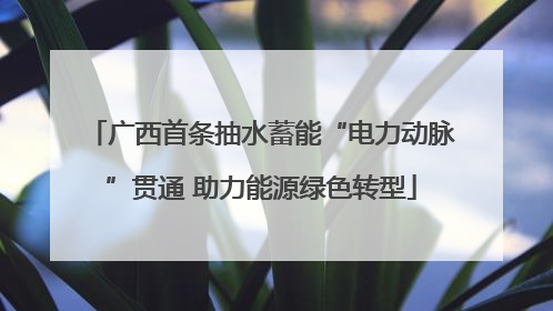 广西首条抽水蓄能“电力动脉”贯通 助力能源绿色转型