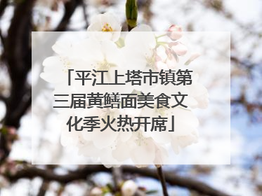 平江上塔市镇第三届黄鳝面美食文化季火热开席