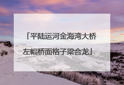 平陆运河金海湾大桥左幅桥面格子梁合龙