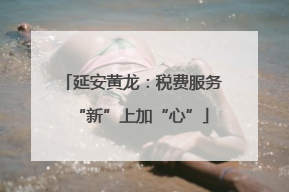 延安黄龙：税费服务“新”上加“心”