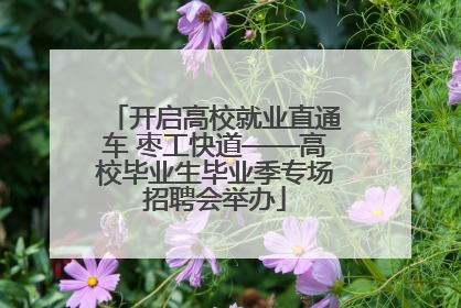 开启高校就业直通车 枣工快道——高校毕业生毕业季专场招聘会举办