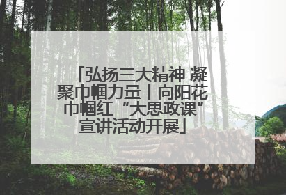弘扬三大精神 凝聚巾帼力量丨向阳花巾帼红“大思政课”宣讲活动开展