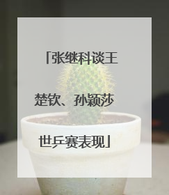 张继科谈王楚钦、孙颖莎世乒赛表现
