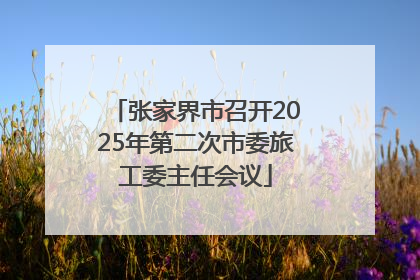 张家界市召开2025年第二次市委旅工委主任会议
