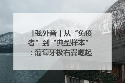弦外音｜从“免疫者”到“典型样本”：葡萄牙极右翼崛起背后的欧洲困局