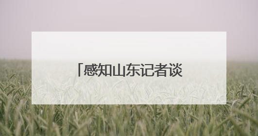 感知山东记者谈｜“典”亮齐鲁 以法治之力护航民生与营商环境