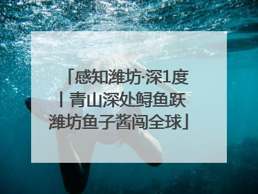 感知潍坊·深1度丨青山深处鲟鱼跃 潍坊鱼子酱闯全球