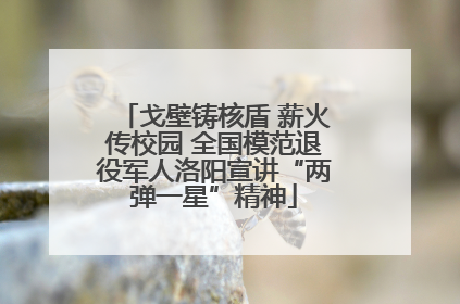 戈壁铸核盾 薪火传校园 全国模范退役军人洛阳宣讲“两弹一星”精神