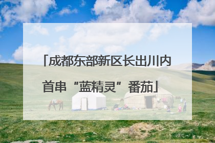 成都东部新区长出川内首串“蓝精灵”番茄