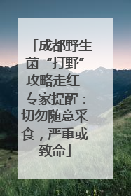 成都野生菌“打野”攻略走红 专家提醒：切勿随意采食，严重或致命