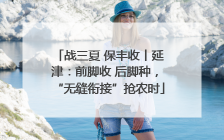 战三夏 保丰收丨延津：前脚收 后脚种，“无缝衔接”抢农时