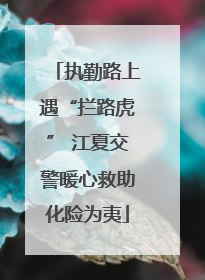 执勤路上遇“拦路虎” 江夏交警暖心救助化险为夷