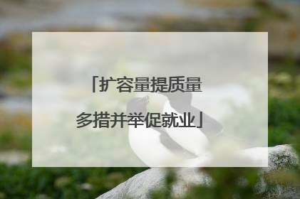 扩容量提质量 多措并举促就业