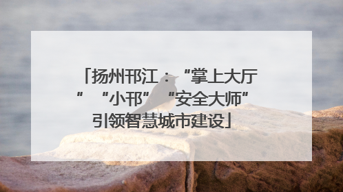 扬州邗江：“掌上大厅”“小邗”“安全大师”引领智慧城市建设