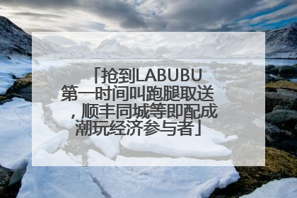 抢到LABUBU第一时间叫跑腿取送，顺丰同城等即配成潮玩经济参与者