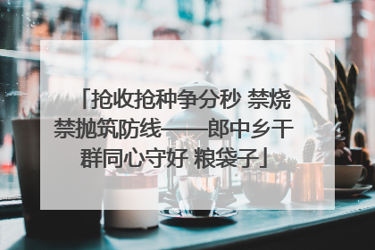 抢收抢种争分秒 禁烧禁抛筑防线——郎中乡干群同心守好 粮袋子