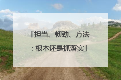 担当、韧劲、方法：根本还是抓落实