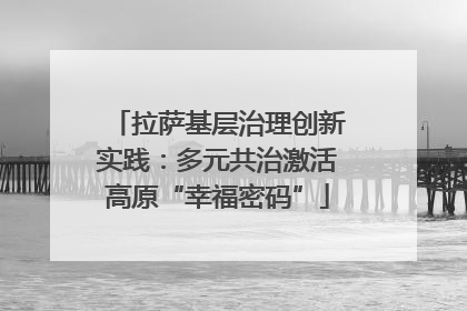 拉萨基层治理创新实践：多元共治激活高原“幸福密码”