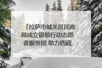 拉萨市城关区民政局成立银领行动志愿者服务团 助力西藏银发经济发展