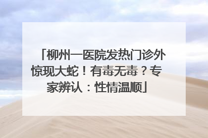 柳州一医院发热门诊外惊现大蛇！有毒无毒？专家辨认：性情温顺