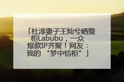 杜淳妻子王灿兮晒整柜Labubu，一众爆款IP齐聚！网友：我的 “梦中情柜”