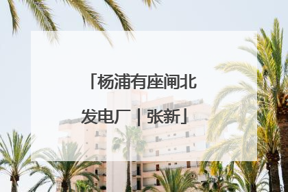 杨浦有座闸北发电厂｜张新