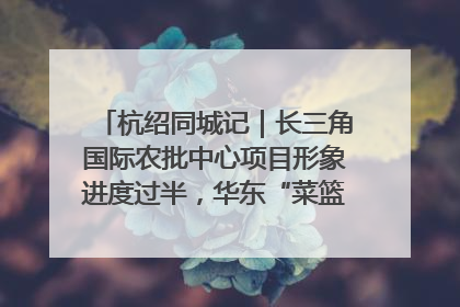 杭绍同城记｜长三角国际农批中心项目形象进度过半，华东“菜篮子”建设加码提速！