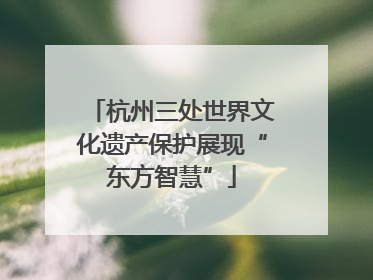 杭州三处世界文化遗产保护展现“东方智慧”