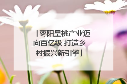 枣阳皇桃产业迈向百亿级 打造乡村振兴新引擎