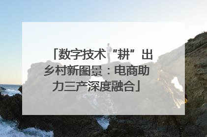 数字技术“耕”出乡村新图景：电商助力三产深度融合