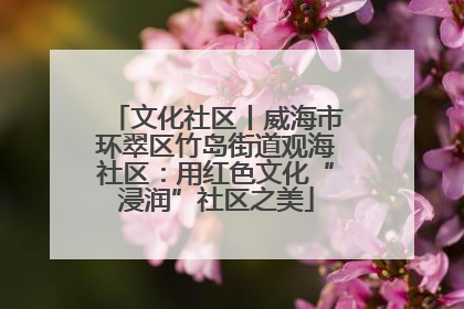 文化社区丨威海市环翠区竹岛街道观海社区：用红色文化“浸润”社区之美