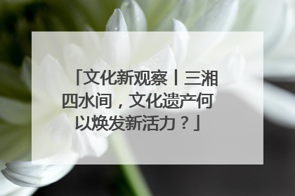 文化新观察丨三湘四水间，文化遗产何以焕发新活力？