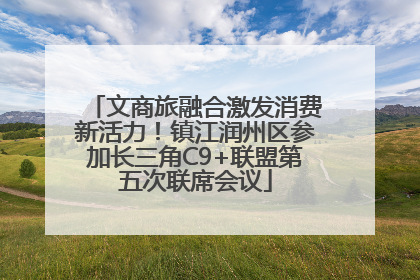 文商旅融合激发消费新活力！镇江润州区参加长三角C9+联盟第五次联席会议